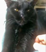 Moon Svg+xml,%3Csvg%20xmlns%3D%22http%3A%2F%2Fwww.w3